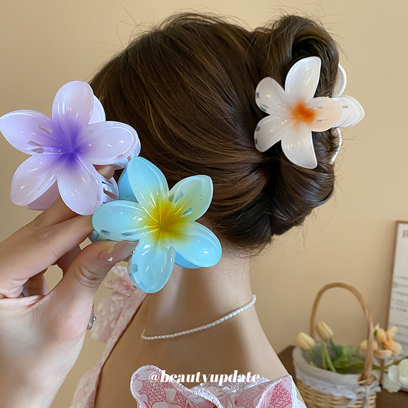 Fermagli per capelli in acrili - Travel Accessories Hong Kong recensione e prezzo