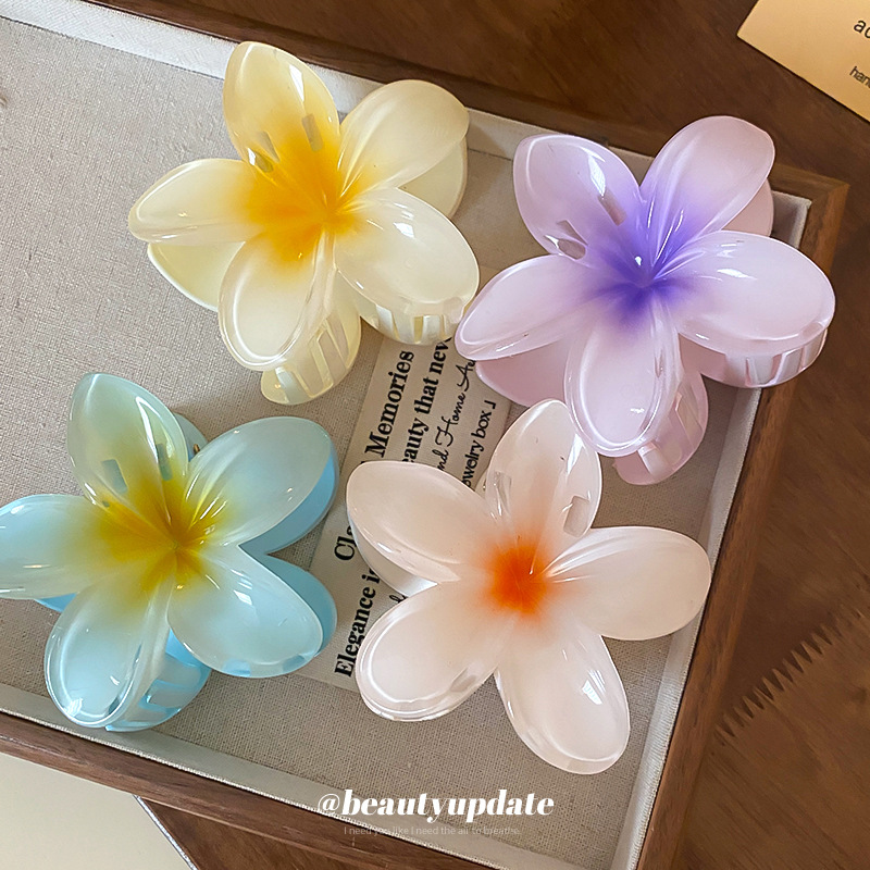 Fermagli per capelli in acrili - Travel Accessories Hong Kong recensione e prezzo