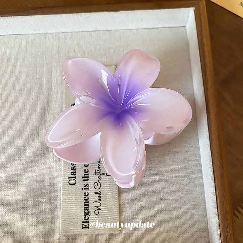 Fermagli per capelli in acrili - Travel Accessories Hong Kong recensione e prezzo