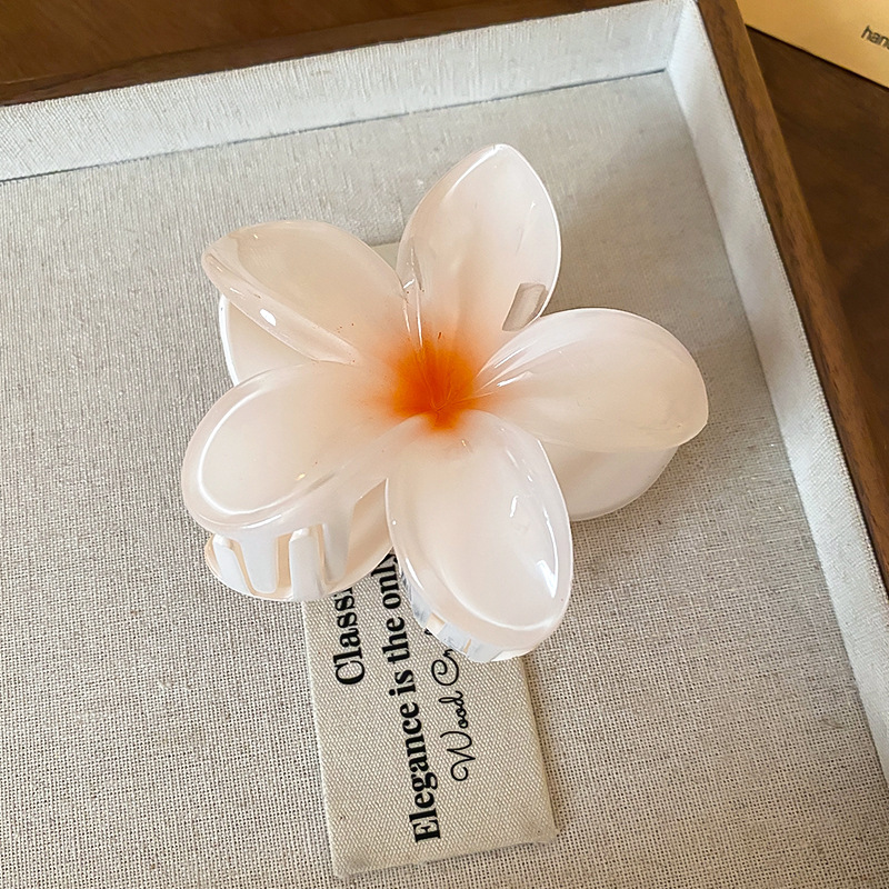 Fermagli per capelli in acrili - Travel Accessories Hong Kong recensione e prezzo